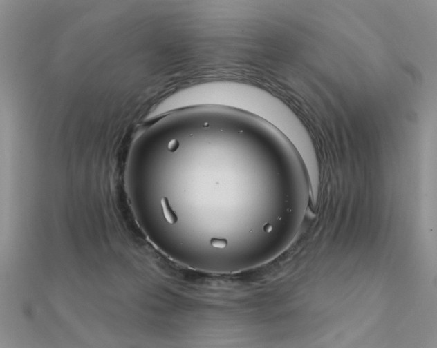 X0000112030223200908101346