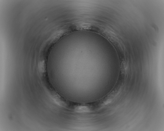 X0000112030224200908101346