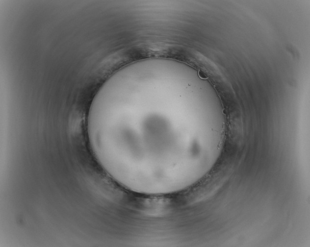X0000112030225200908101346