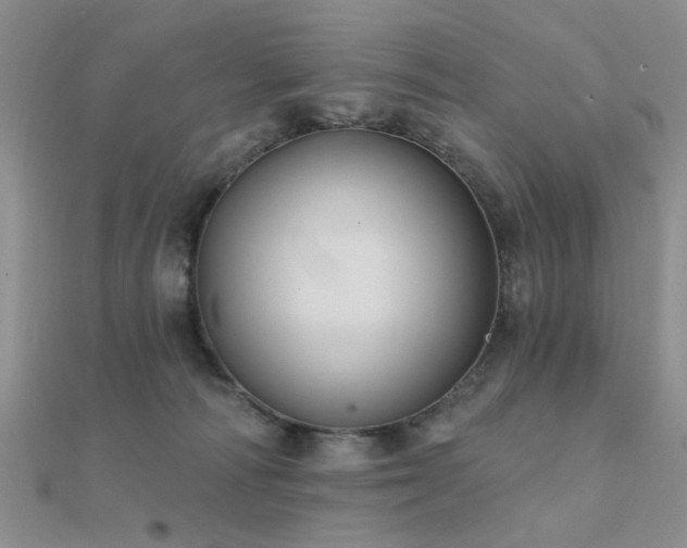 X0000112030226200908101346