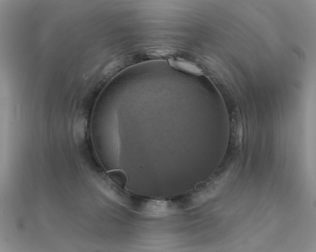 X0000112030227200908101346