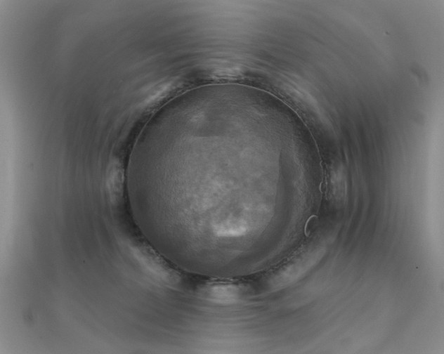 X0000112030228200908101346