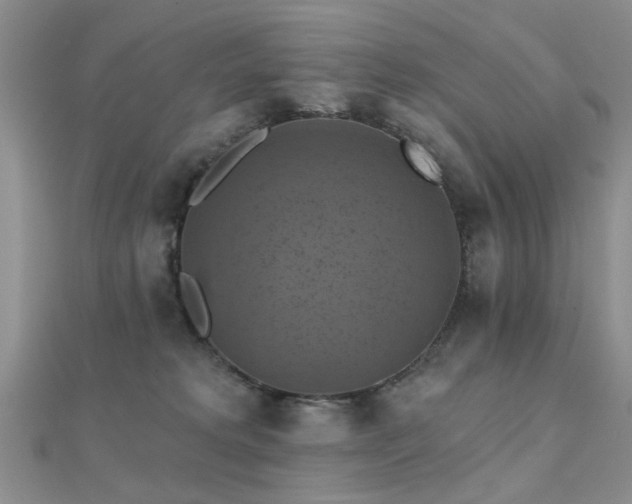 X0000112030229200908101346