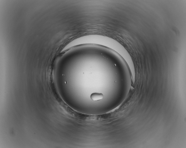 X0000112030231200908101345