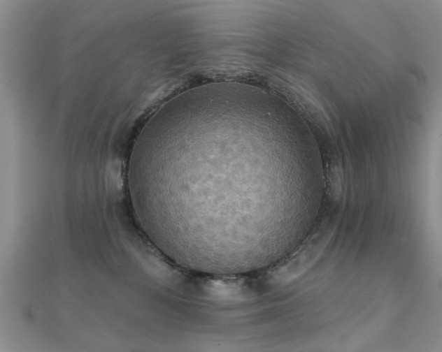 X0000112030232200908101345