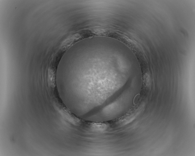 X0000112030234200908101345