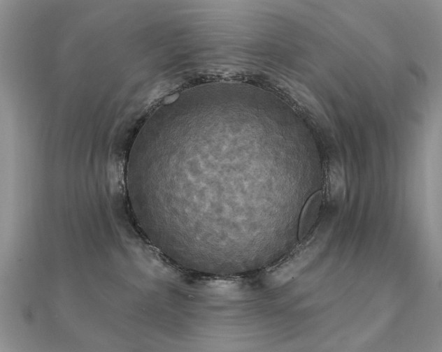 X0000112030236200908101345