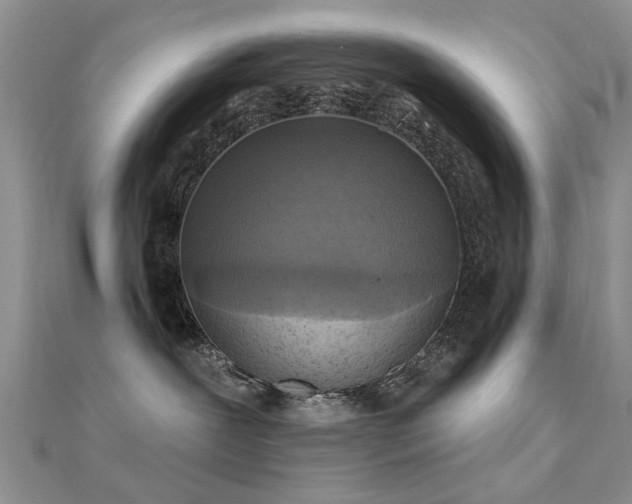 X0000112030239200908101345