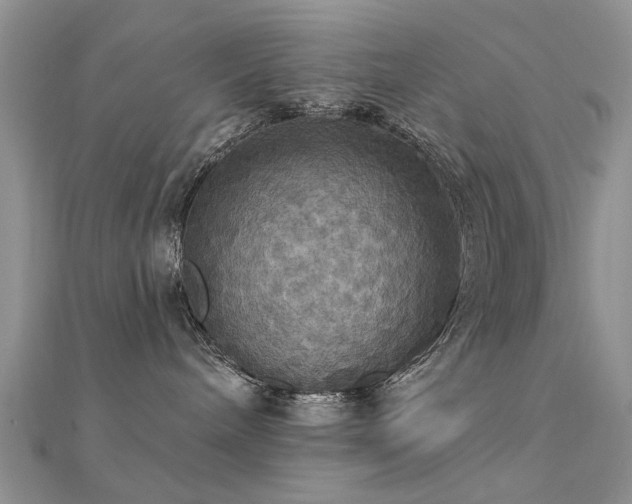 X0000112030240200908101345
