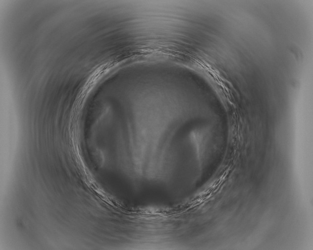 X0000112030241200908101345