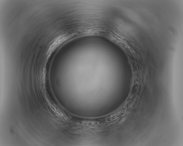 X0000112030242200908101345
