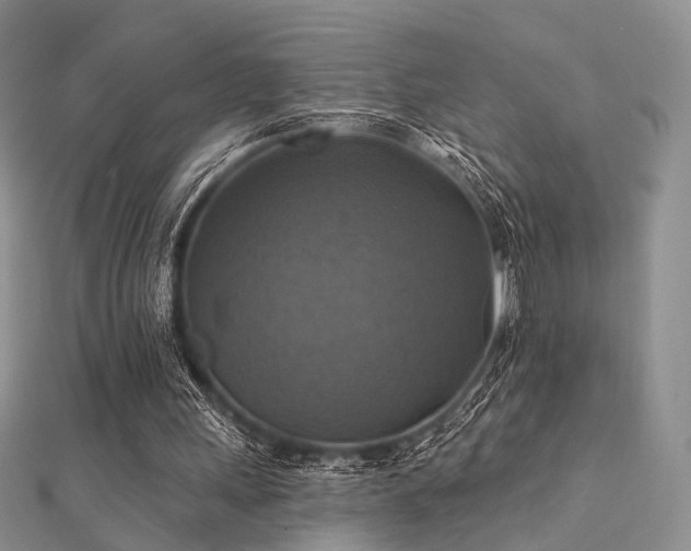 X0000112030243200908101345