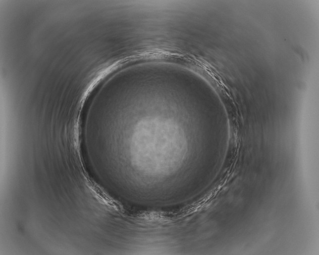 X0000112030244200908101345