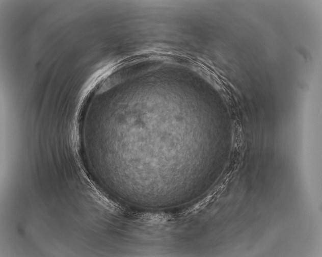 X0000112030245200908101345