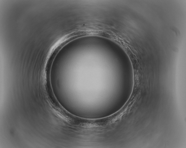 X0000112030246200908101345