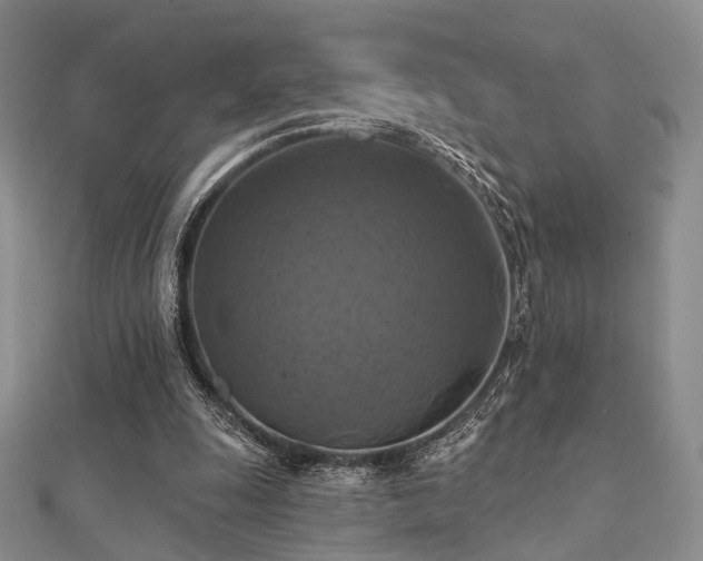X0000112030247200908101345