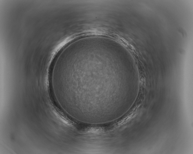 X0000112030248200908101345