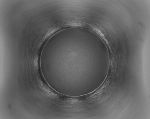 X0000112030249200908101345