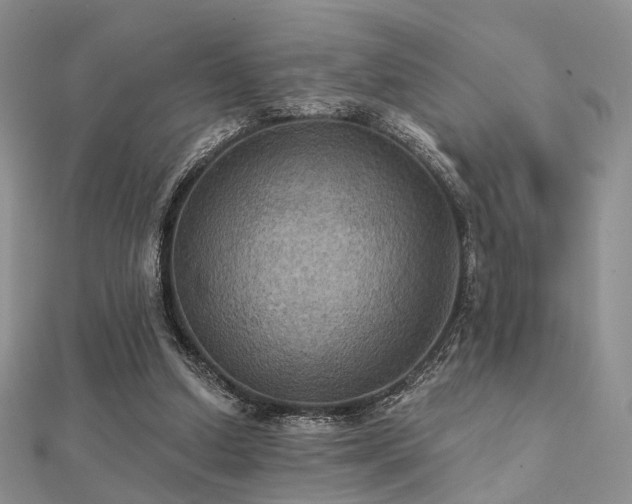 X0000112030250200908101345