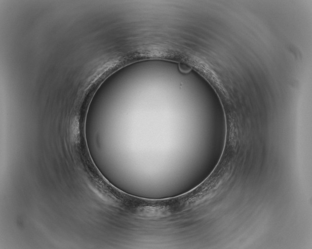 X0000112030251200908101345