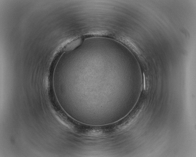 X0000112030252200908101345