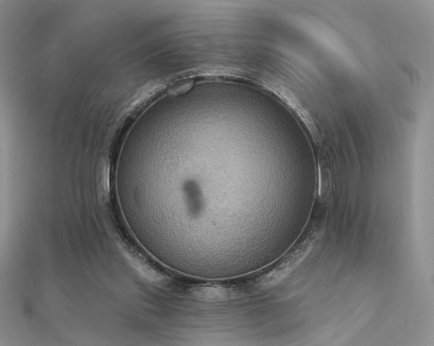 X0000112030253200908101345