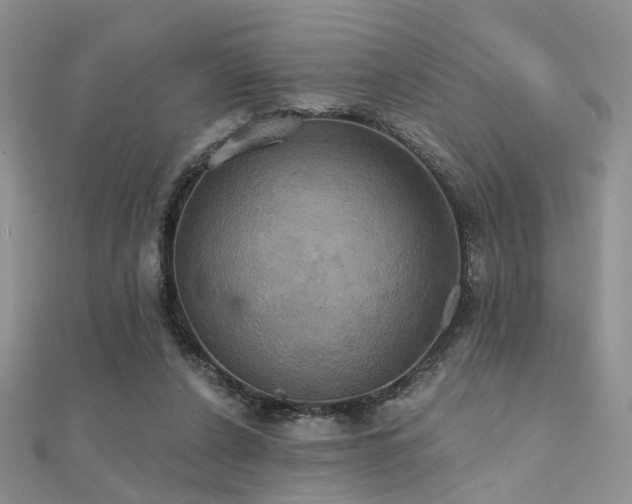 X0000112030256200908101345