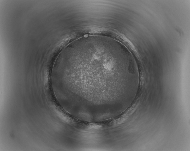 X0000112030257200908101345
