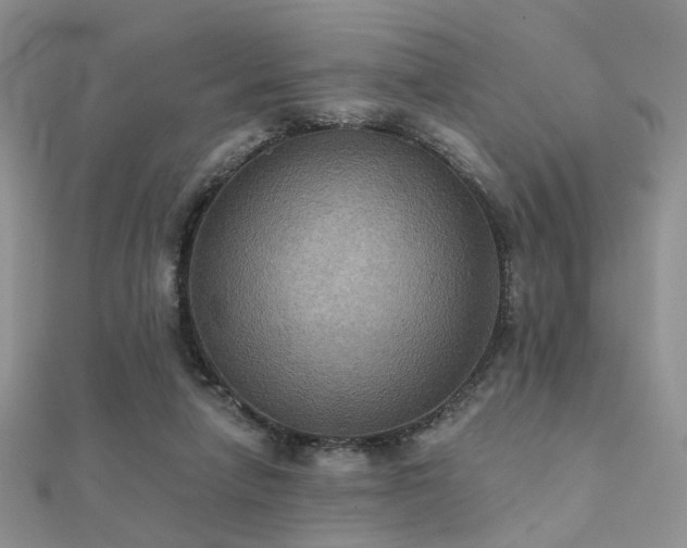 X0000112030258200908101345