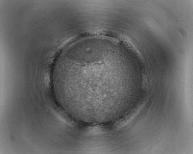 X0000112030259200908101345