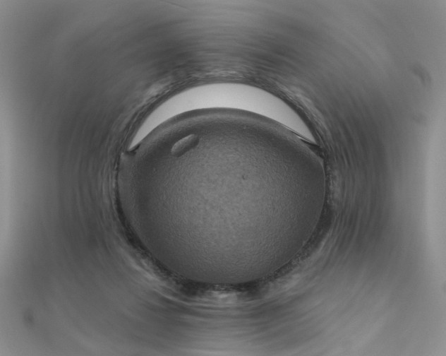 X0000112030260200908101345