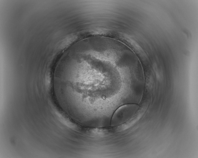 X0000112030261200908101345