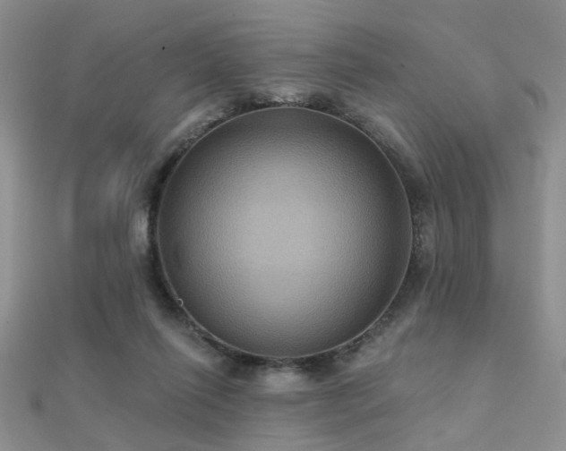 X0000112030262200908101345