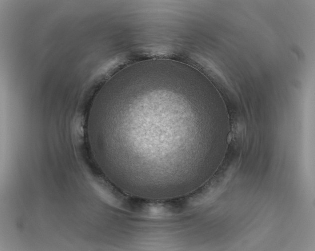 X0000112030264200908101345