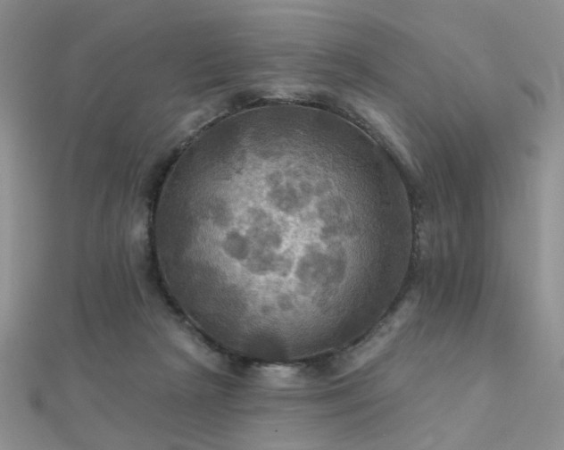 X0000112030265200908101345