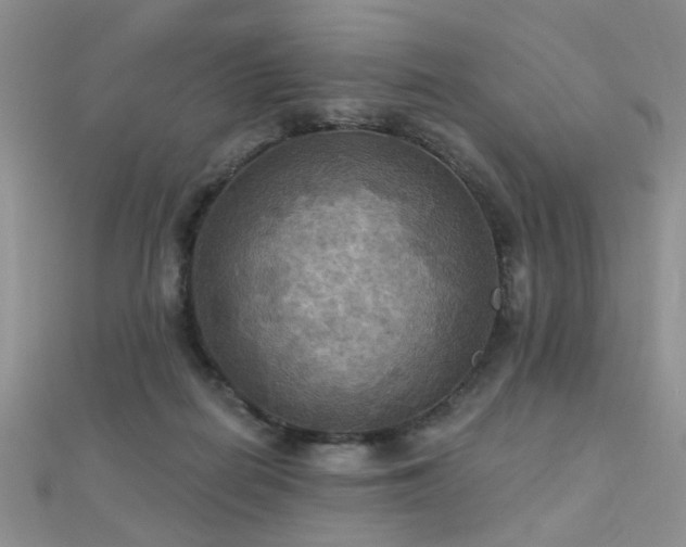 X0000112030266200908101345