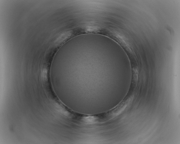 X0000112030269200908101345