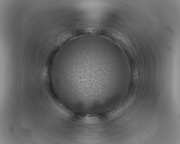 X0000112030270200908101345