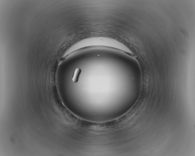 X0000112030272200908101345