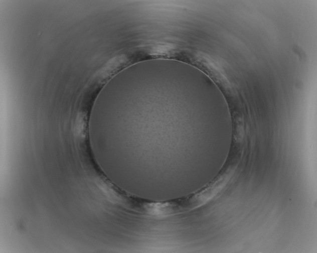 X0000112030273200908101345