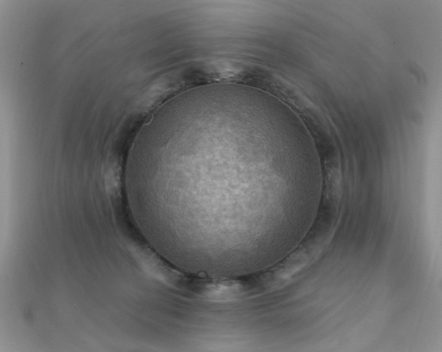 X0000112030274200908101345
