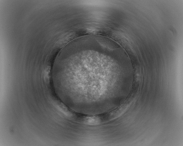 X0000112030275200908101345