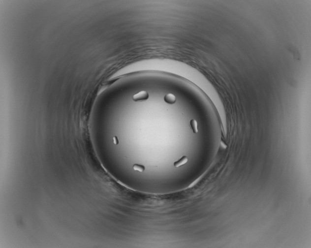 X0000112030276200908101345