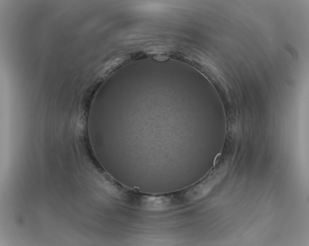 X0000112030277200908101345
