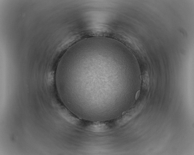 X0000112030278200908101345