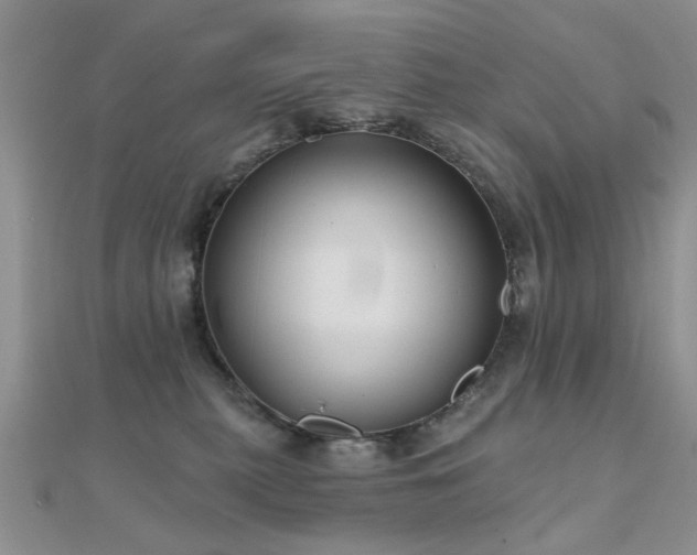 X0000112030279200908101345