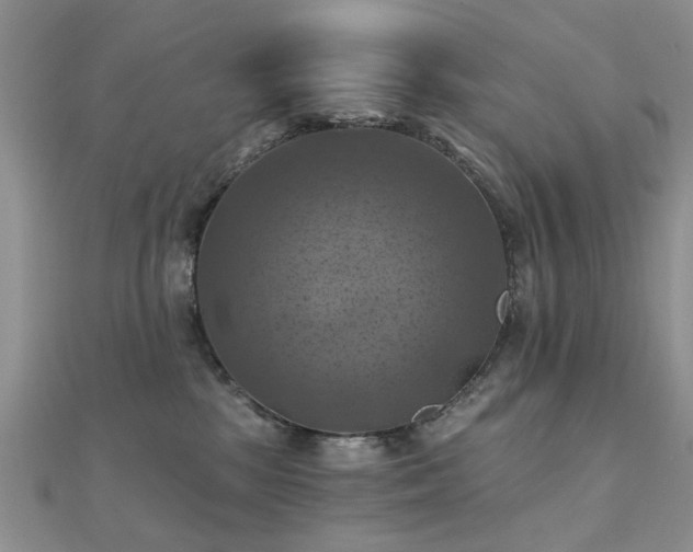 X0000112030281200908101345