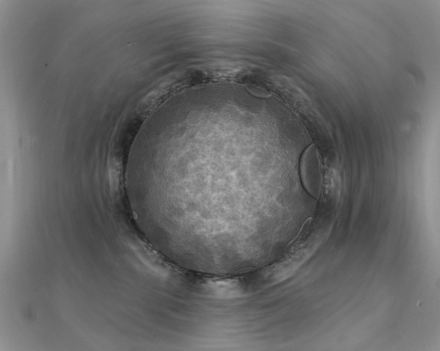 X0000112030283200908101345