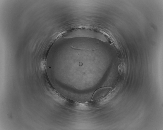X0000112030285200908101345