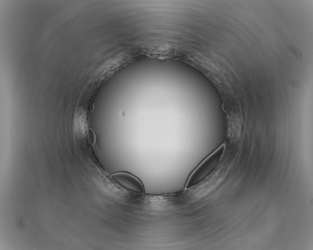 X0000112030287200908101345
